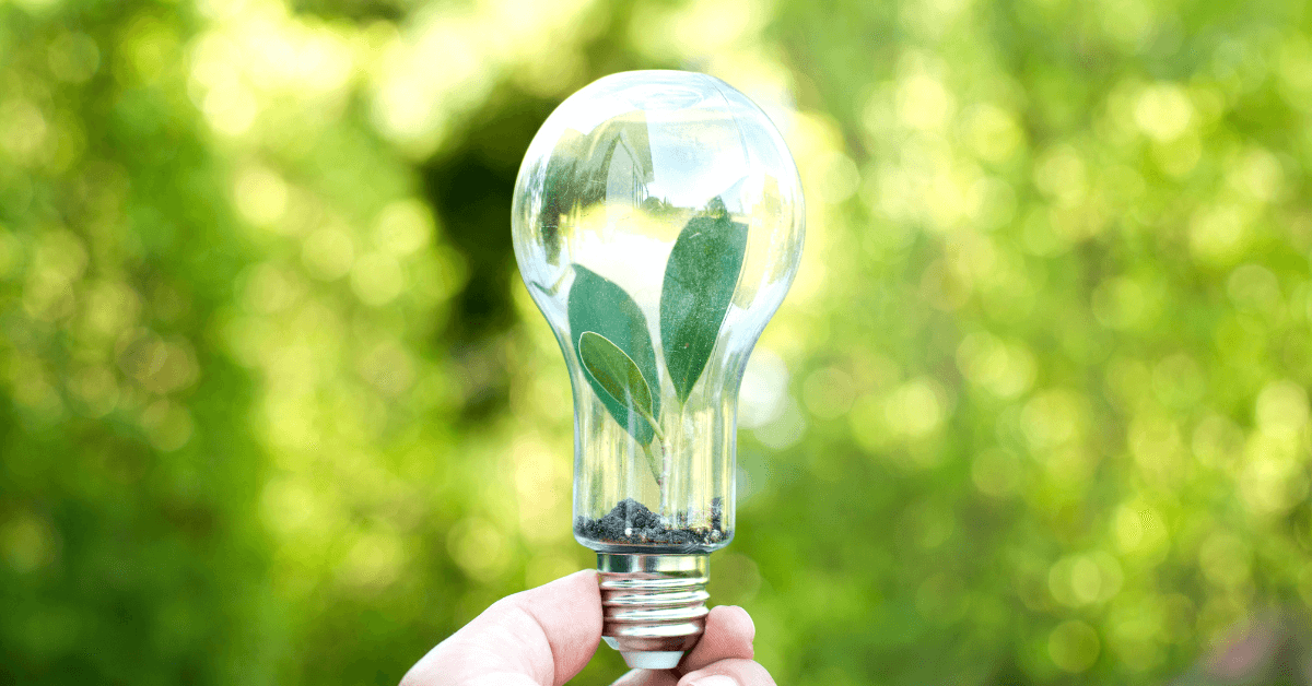 How Auto Transport Companies Are Going Green blog post image